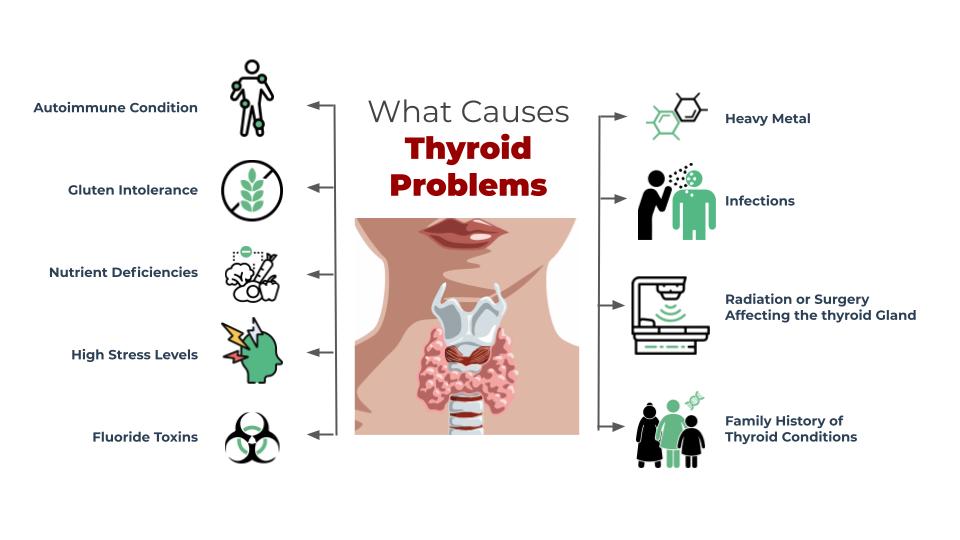 What Causes Thyroid Problems/